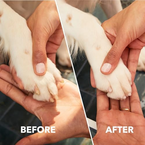 Dremel Pet Grooming Nail Guard Attachment, AT02-PGK - Image 5