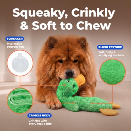 Best Pet Supplies Interactive Squeaky Dog Toy - Crinkle Duck, Green - Image 3