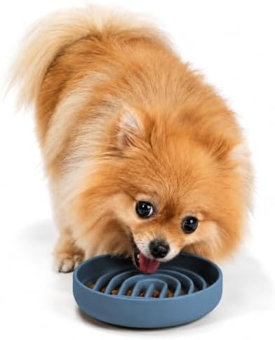 Slow Feeder Dog Bowl - Silicone Dog Bowl, Small, 6" x 1.25" - Ocean by ShouldWeGo