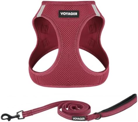 Best Pet Supplies Voyager Step-in Air All Weather Mesh Harness and Reflective Dog 5ft Leash Combo with Neoprene Handle, for Small, Medium and Large Breed Puppies - Burgundy, M by BestPetSuppliesLLC