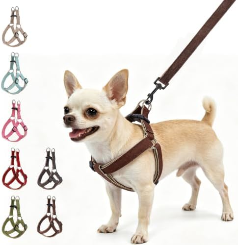 BEAUTYZOO Adjustable No Pull Dog Harness and Leash Set by BEAUTYZOO