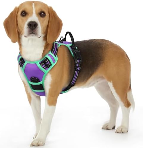 Eagloo Dog Harness for Small Dogs, No Pull Pet Vest with 2 Leash Clips by GoExplorewithEagloo