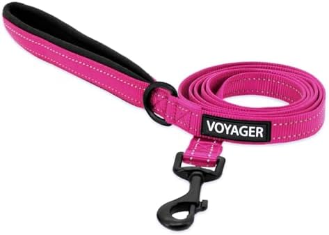 Best Pet Supplies Voyager Nylon Dog Leash - 6ft Fuchsia, Large by BestPetSuppliesLLC