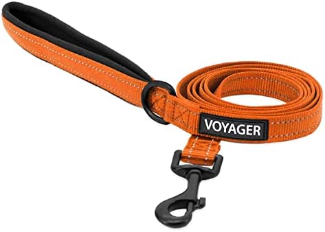 Best Pet Supplies Voyager Nylon Dog Leash - Orange, Small by BestPetSuppliesLLC