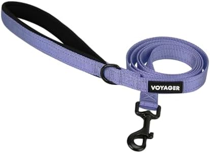 Best Pet Supplies Voyager Nylon Dog Leash - Lavender, Medium by BestPetSuppliesLLC