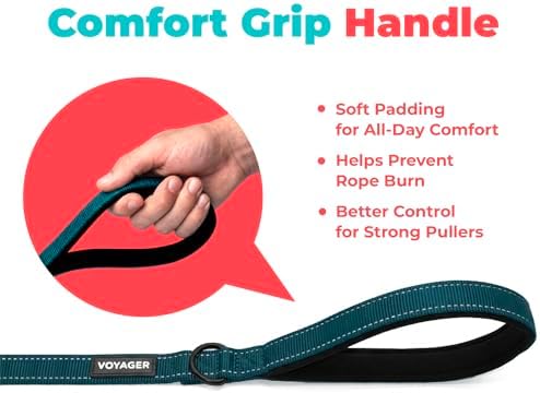 Best Pet Supplies Voyager Nylon Dog Leash - Blue, Large - Image 5