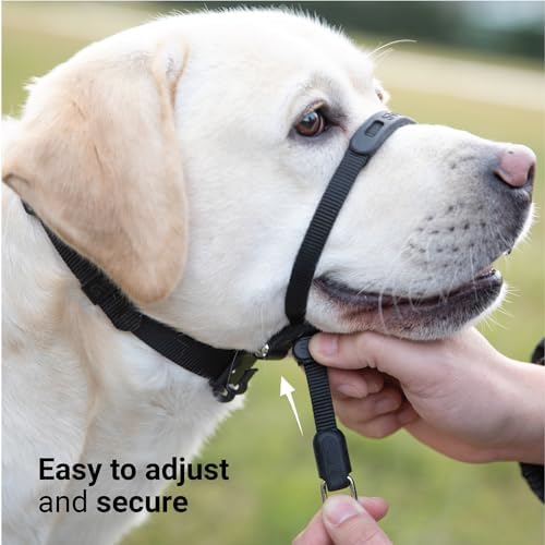 SVD.PET No-Pull Dog Headcollar for Easier Walks, Chew-Proof Protector to Increase Comfort, Simple Design, Easy to Wear and Adjust (Medium Size for Small and Medium Size Dogs, Army Green) - Image 3