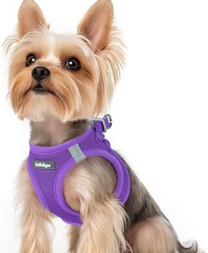 rabbitgoo Step-in Small Dog Harness, Puppy Vest for Small Sized Pet by rabbitgoo
