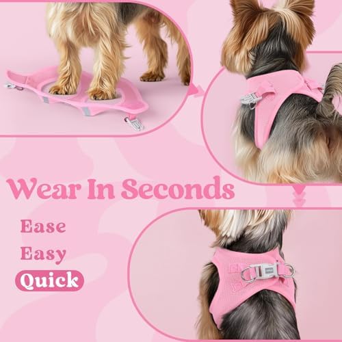 rabbitgoo Step-in Small Dog Harness, Puppy Vest for Small Sized Pet - Image 6