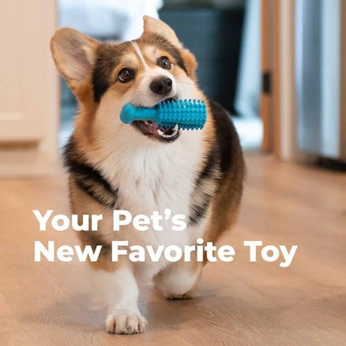 Oxyfresh Premium Dog Dental Chew Toy – Helps Fight Plaque & Tartar - Image 3