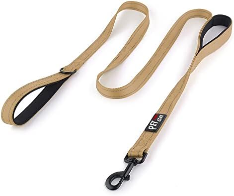 Plutus Pet Double Handle Dog Leash, 6 FT Long, for Medium Large Dogs by PLUTUSPET