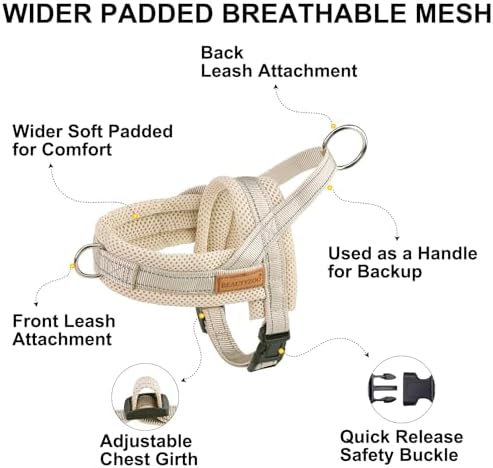 BEAUTYZOO Dog Harness for Large Dogs,No Pull Step in Pet Vest and Leash Set - Image 6