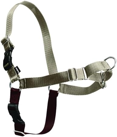 PetSafe Easy Walk Harness, No Pull Dog Harness, Fawn, Large by PetSafe
