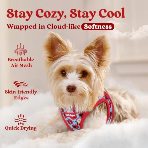 rabbitgoo Step-in Small Dog Harness, Puppy Vest for Small Sized Pet - Image 3