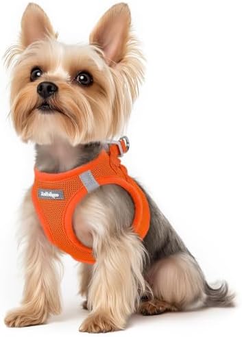 rabbitgoo Step-in Small Dog Harness, Puppy Vest for Small Sized Pet by rabbitgoo