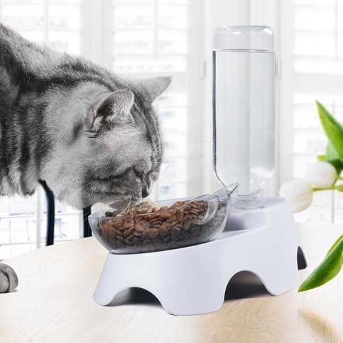 MILIFUN Double Dog Cat Bowls - Pets Water and Food Bowl Set, 15°Tilted Water and Food Bowl Set with Automatic Waterer Bottle for Small or Medium Size Dogs Cats - Image 6