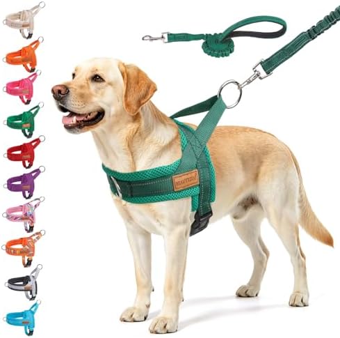 BEAUTYZOO Dog Harness for Large Dogs,No Pull Step in Pet Vest and Leash Set by BEAUTYZOO
