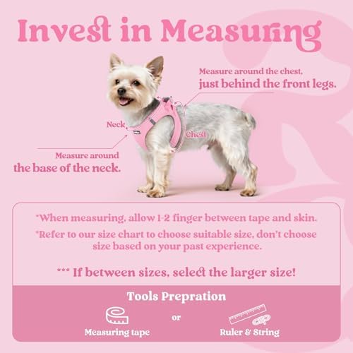 rabbitgoo Step-in Small Dog Harness, Puppy Vest for Small Sized Pet - Image 2