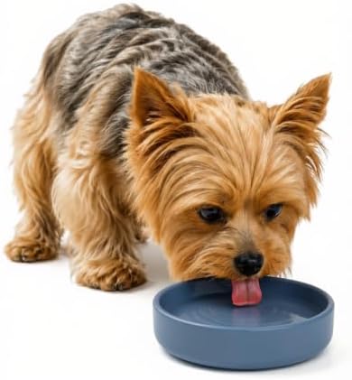 The Perfect Dish - Silicone Dog Bowl for Food & Water, 6" x 1.25"-Ocean by ShouldWeGo