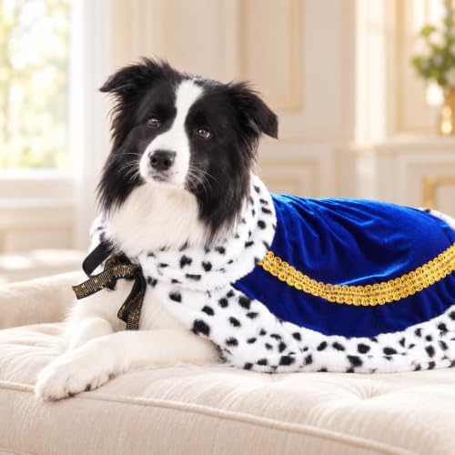 Lovelyshop Royal Velvet Pet Cloak, Blue, L - Image 2