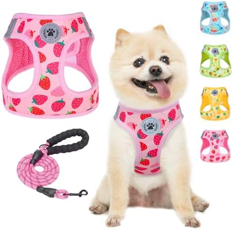 BEAUTYZOO Dog Harness Medium Sized and Leash Set,No Pull Pet Vest - Pink, M by BEAUTYZOO