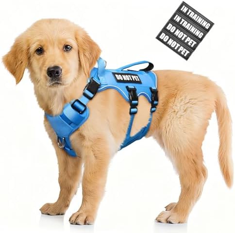 WINSEE Escape Proof Dog Harness with Double Handle+4 Removable Patches by WINSEE