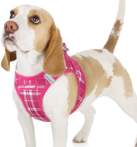 rabbitgoo Step-in Small Dog Harness, Puppy Vest for Small Sized Pet by rabbitgoo
