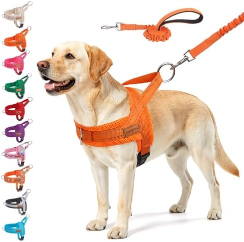 BEAUTYZOO Dog Harness for Large Dogs,No Pull Step in Pet Vest and Leash Set by BEAUTYZOO