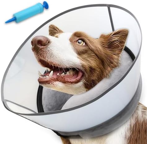 2-in-1 Upgraded Inflatable Dog Cone Collar with Detachable Anti-Licking Shield, Soft (M, Black) by Unknown