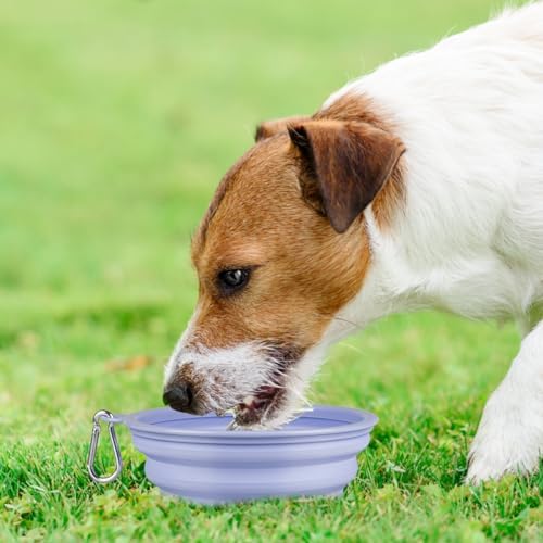 Kytely Collapsible Dog Bowls Medium, 2Pack Foldable Dog Travel Bowl, Portable Pet Water Food Bowl with Clasp, Pet Cat Feeding Cup Dish for Traveling, Walking, Hiking (Lavender & Pink) - Image 2