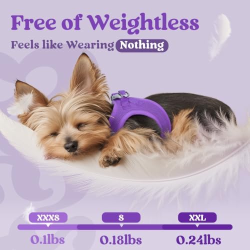 rabbitgoo Step-in Small Dog Harness, Puppy Vest for Medium Sized Pet - Image 4