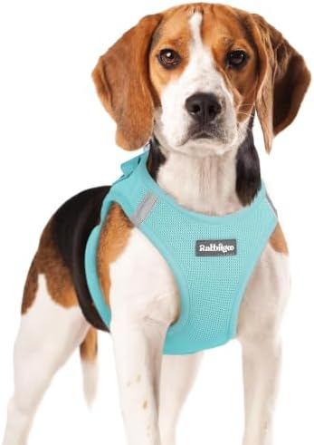 rabbitgoo Step-in Small Dog Harness, Puppy Vest for Small Medium Sized Pet by rabbitgoo