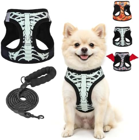 BEAUTYZOO Halloween Dog Harness Medium Sized and Leash Set,No Pull Pet Vest by BEAUTYZOO