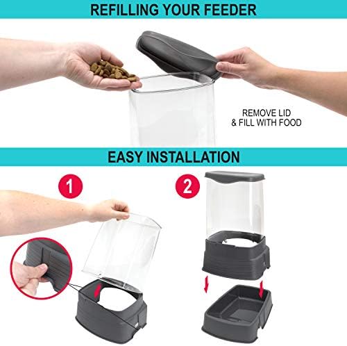 Sport Pet Gravity Feeder and Waterer, Small - Image 4