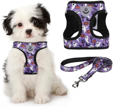 KOOLTAIL Halloween Dog Harness and Leash Set for Small Medium Dogs, Step in No Pull Soft Mesh Harness Comfort Padded Pet Vest, Adjustable Reflective Easy Walking Puppy Cats Harness Training, Ghost M by KOOLTAIL