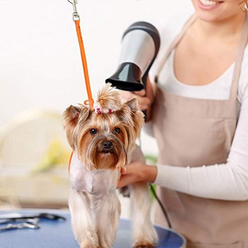 Jelly Pet Grooming Loop for Dogs, Fits Most Pet Grooming Tubs/Tables, Easy to Clean, Waterproof & Durable Noose Loop, Stronger Than Leather, Made in The USA, 3/8" x 18’’ and 24" Lime Green - Image 5