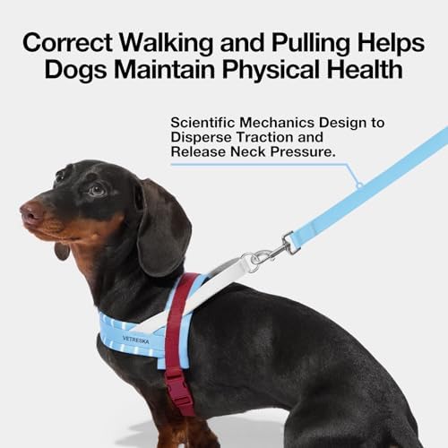 VETRESKA Dog Harness Small Sized Dog, Adjustable No Choke Puppy Harness XS - Image 5