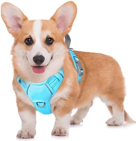 BARKBAY No Pull Dog Harness Large Reflective Dog Harness with Front Clip and Easy Control Handle for Walking Training Running with ID tag Pocket(Blue,M) by BARKBAY