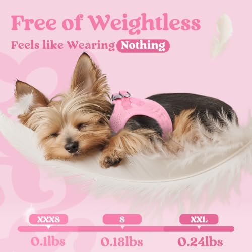 rabbitgoo Step-in Small Dog Harness, Puppy Vest for Small Sized Pet - Image 5