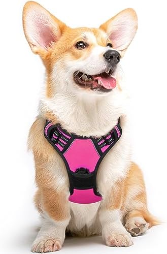 Eagloo Dog Harness for Medium Sized Dogs, No Pull Vest with 2 Leash Clips by GoExplorewithEagloo