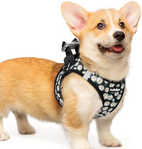 rabbitgoo Step-in Small Dog Harness, Puppy Vest for Small Medium Sized Pet by rabbitgoo
