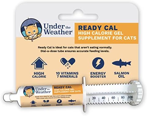 Under The Weather Pet | Ready Cal for Cats 100cc | High Calorie Supplement | Cat Weight Gainer and High Calorie Booster | 10 Vitamins, 7 Minerals & Omega Fatty Acids (for Cats 100cc) by UndertheWeather