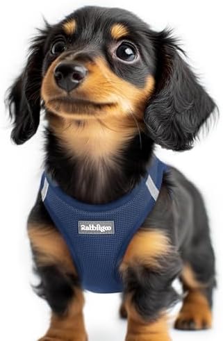 rabbitgoo Step-in Small Dog Harness, Puppy Vest for Small Sized Pet by rabbitgoo