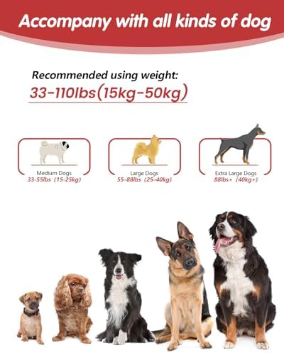 Hands Free Dog Leash, Multifunctional Crossbody Dog Leash - Image 6
