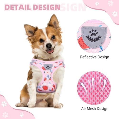 KOOLTAIL Dog Harness and Leash Set for Small Medium Dogs, Step in No Pull Soft Mesh Dog Harness Comfort Padded Pet Vest, Adjustable Reflective Easy Walking Puppy Cats Harness Training, Watermelon S - Image 4