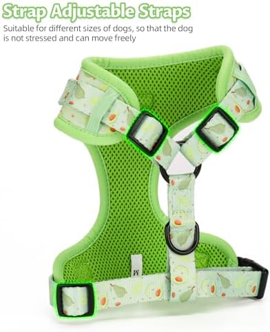 Dog Harness and Leash Set, Adjustable Dog Harness, Dog Leash, No Pull No Choke Puppy Harnesses for Walking Training for Small Medium Pet - Image 3