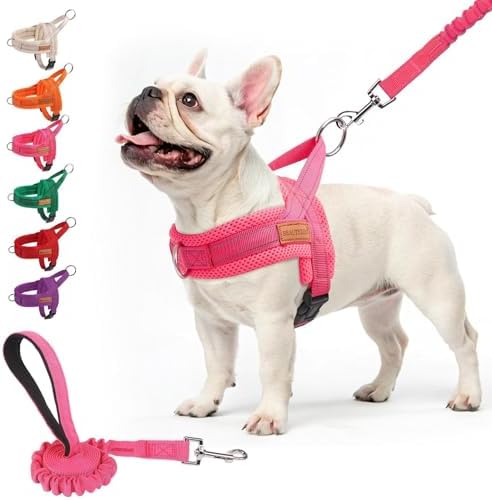 BEAUTYZOO Dog Harness Medium Sized and Leash Set, No Pull Step in Pet Vest by BEAUTYZOO
