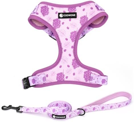 Dog Harness and Leash Set, Adjustable Dog Harness, Dog Leash, No Pull No Choke Puppy Harnesses for Walking Training for Small Medium Pet (Wines, L(Chest 18.5-27.1", Neck 14.5-20.1")) by COOWONE