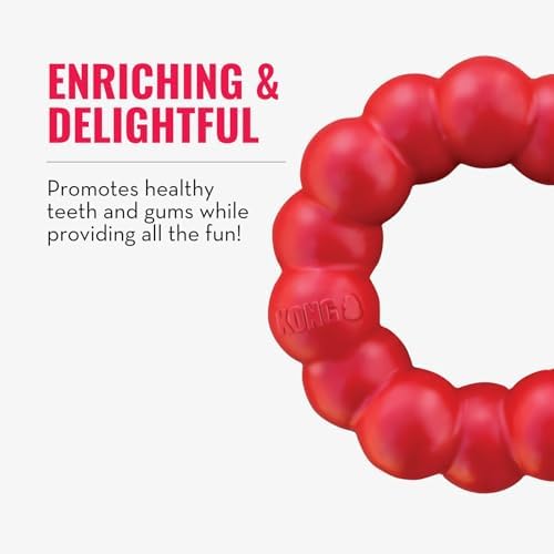KONG Ring - Natural Rubber Ring Toy for Healthy Chewing Habits - Chew Toy Supports Dog Dental Health - Dog Toy Supports Instincts During Playtime - for Medium/Large Dogs (Pack of 4) - Image 6