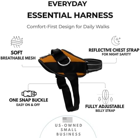 ShawnCo Essential Dog Harness, No-Pull Pet Vest (Sunset Orange,S) - Image 2